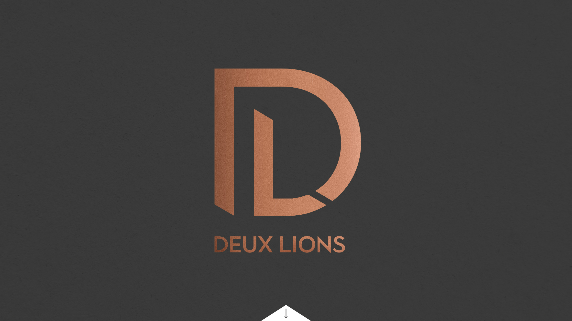 Deux Lions Logo