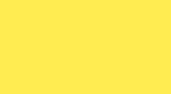 sacasy Animation